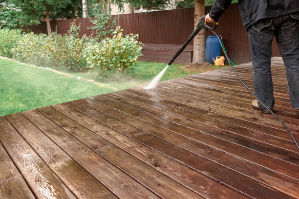 Best Solar Panel Cleaning  in Randolph, WI